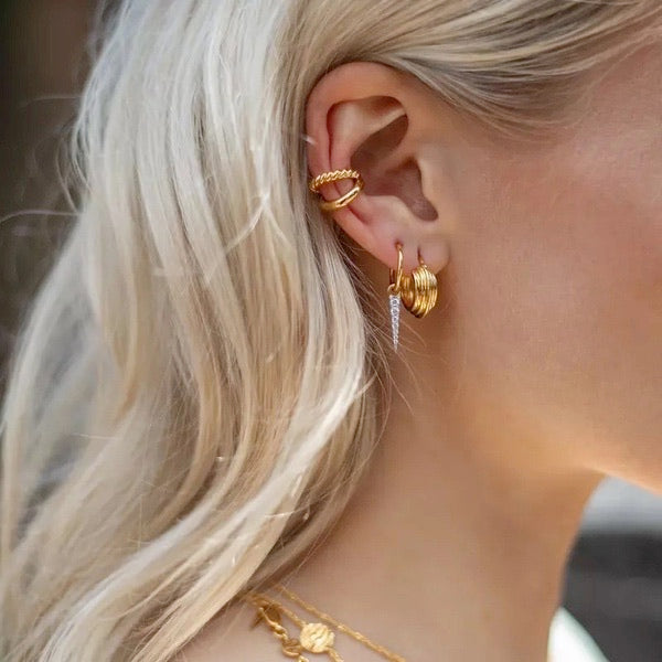 Fashion earrings